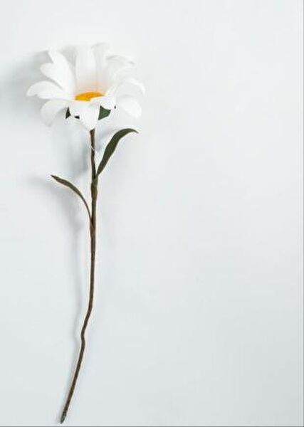 Vitale Yapay Çiçek, Meyve