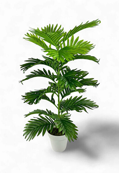 Nettenevime Yapay Çiçek, Meyve