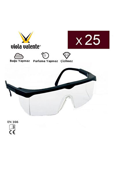 Viola Valente Koruyucu Gözlük