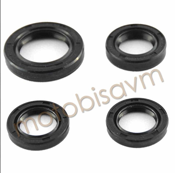 Motobisavm Krank, Piston ve Contalar
