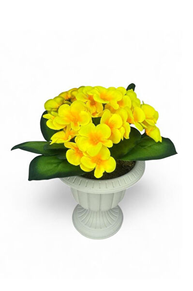 Nettenevime Yapay Çiçek, Meyve