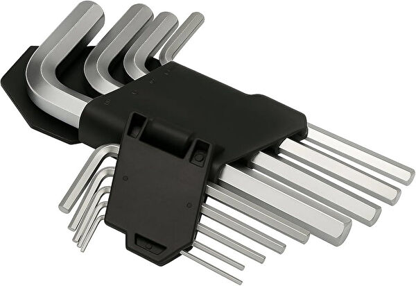 Cat Power Alyan, Lokma Takımı