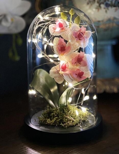 Nettenevime Yapay Çiçek, Meyve