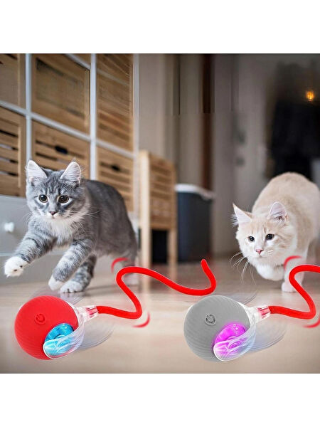 OEM Kedi Oyuncakları