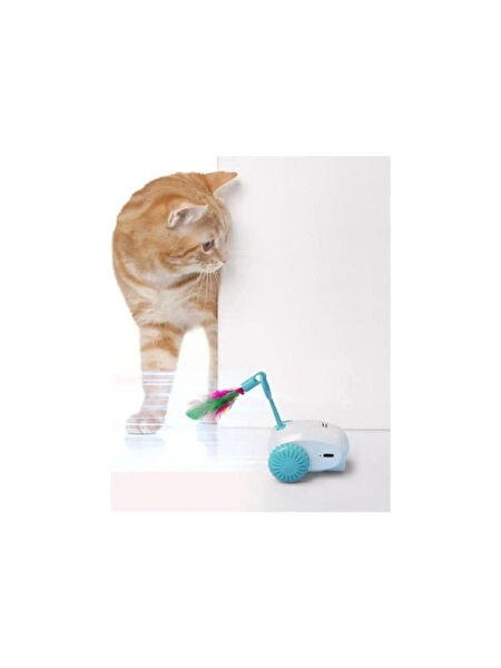 OEM Kedi Oyuncakları