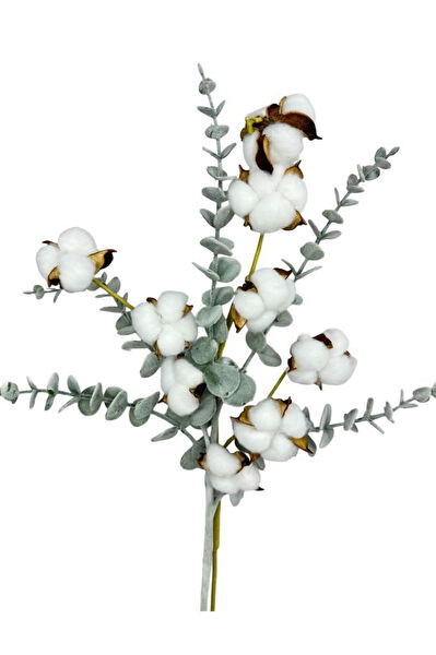 Nettenevime Yapay Çiçek, Meyve