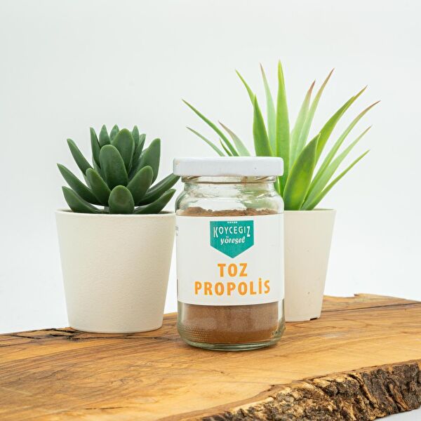 Köyceğiz Yöresel Bal