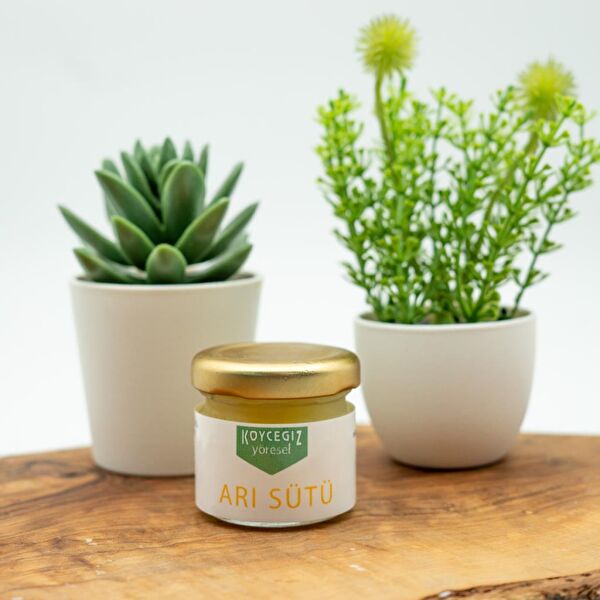 Köyceğiz Yöresel Bal