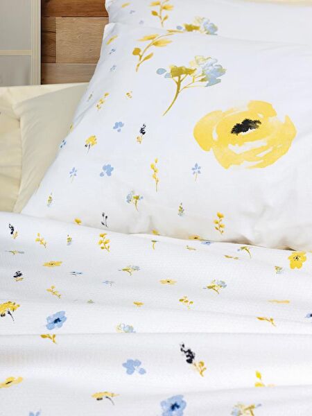 Cotton Box Pike takımı