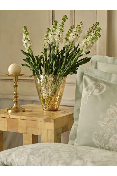 Karaca Home Vazo, Saksı