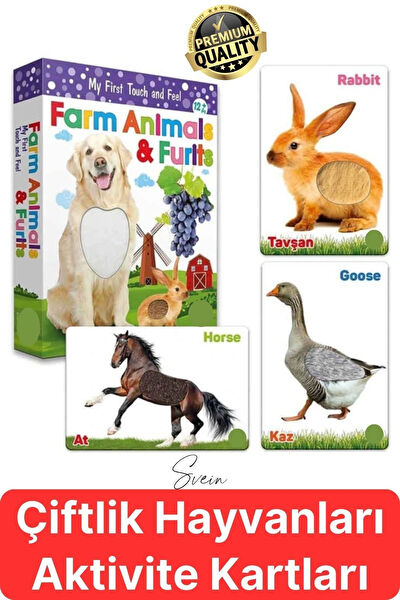 Svein Aktivite ve Zeka Gelişim Kitapları