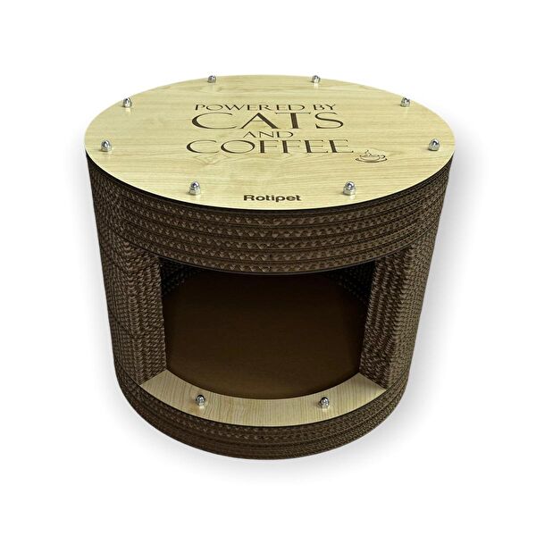 Rotifish Kedi Tırmalama