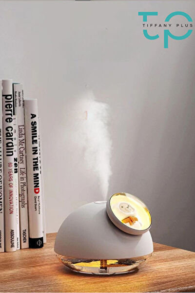 Tiffany Hava Temizleme ve Nem Alma Cihazları