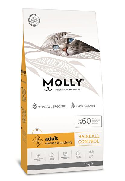 Molly Kedi Maması