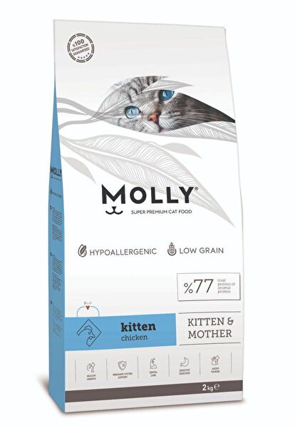 Molly Kedi Maması