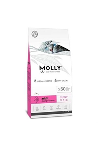 Molly Kedi Maması