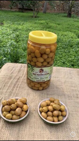 Hacı Mustafa Efendi Zeytin