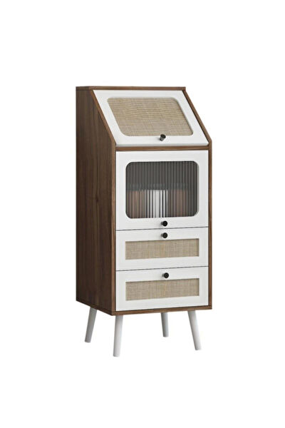 Panalı Çok Amaçlı Dolap