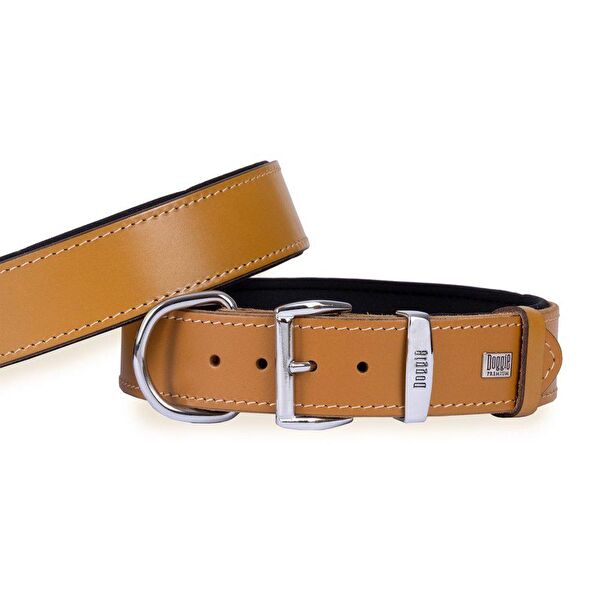 Doggie Köpek Tasmaları