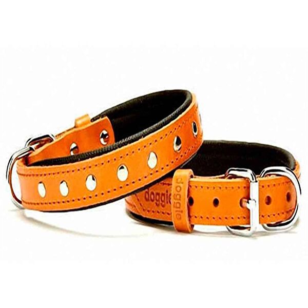 Doggie Köpek Tasmaları