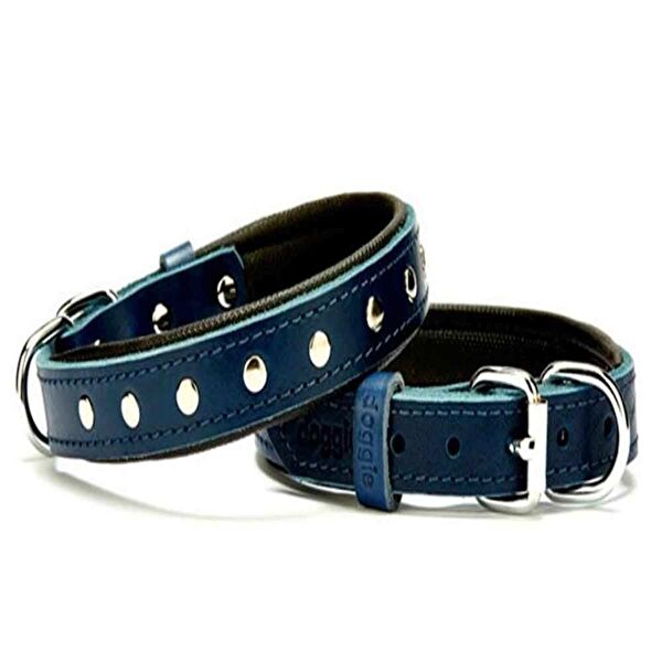 Doggie Köpek Tasmaları