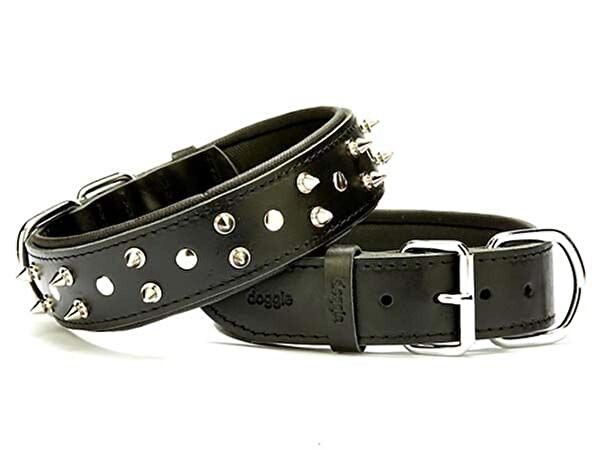 Doggie Köpek Tasmaları