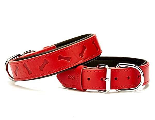 Doggie Köpek Tasmaları