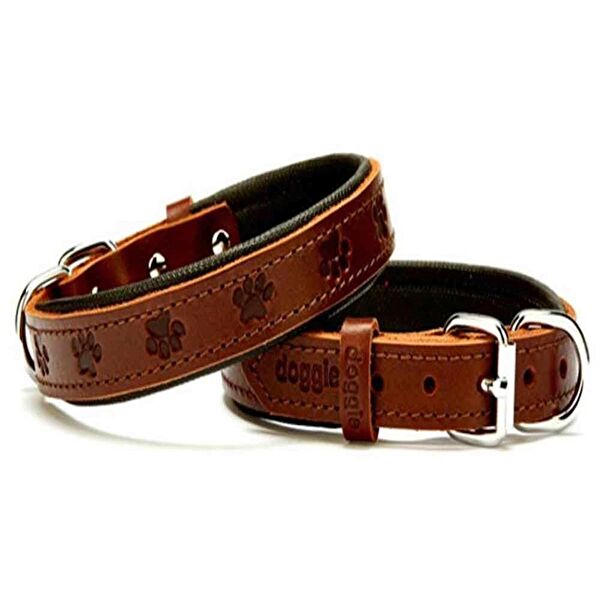 Doggie Köpek Tasmaları