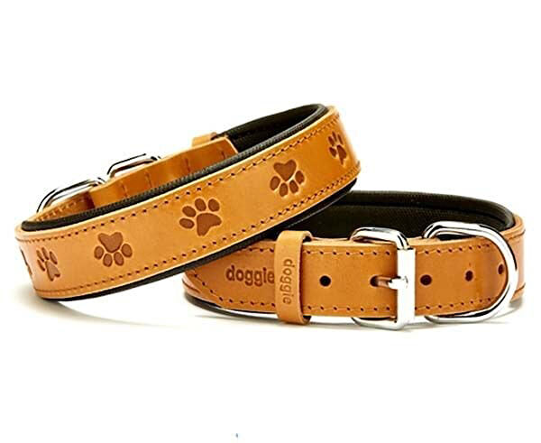 bendeo Köpek Tasmaları