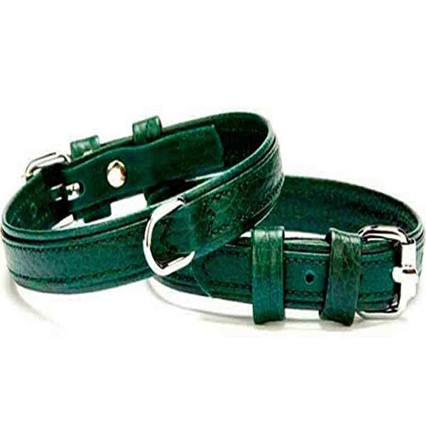 Doggie Köpek Tasmaları