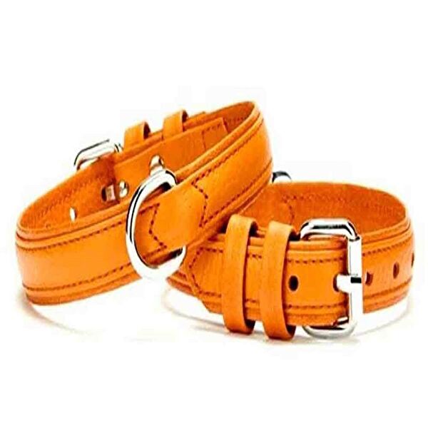 Doggie Köpek Tasmaları