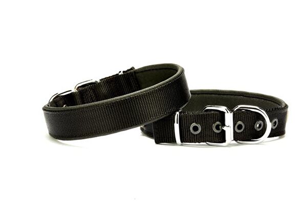 Doggie Köpek Tasmaları