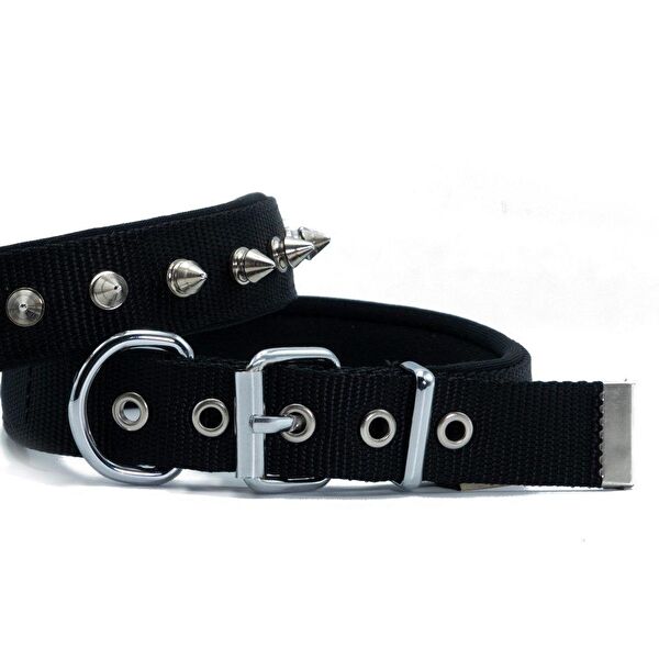 Doggie Köpek Tasmaları