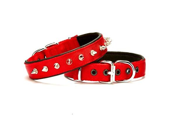 Doggie Köpek Tasmaları