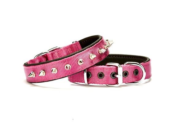 Doggie Köpek Tasmaları