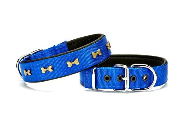 Doggie Köpek Tasmaları