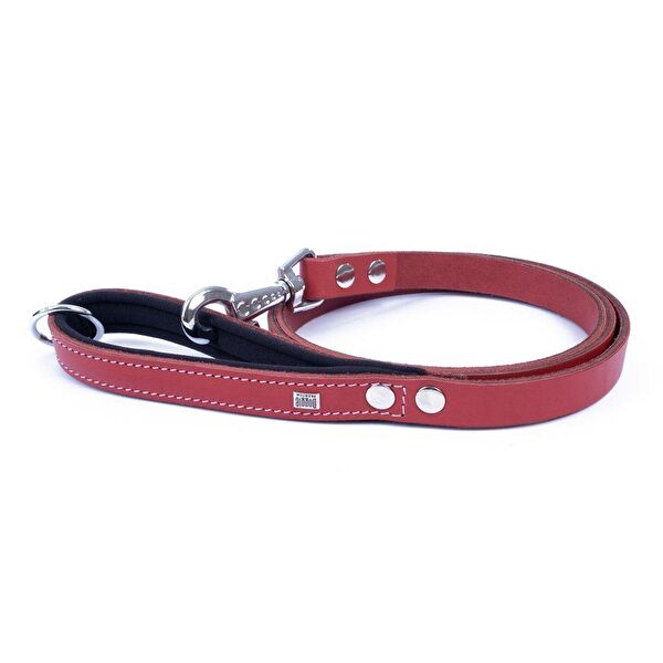 Doggie Köpek Tasmaları