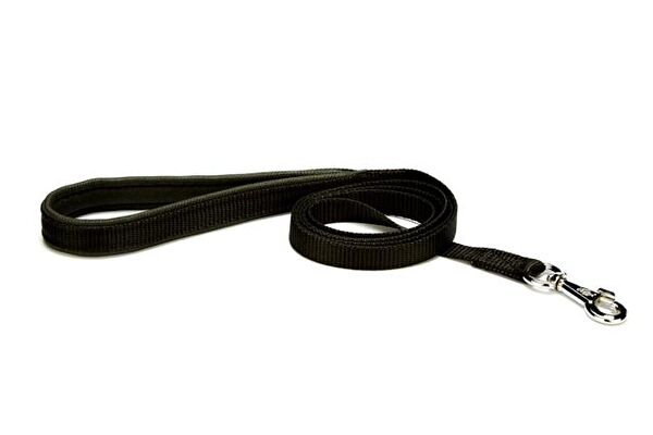 Doggie Köpek Tasmaları