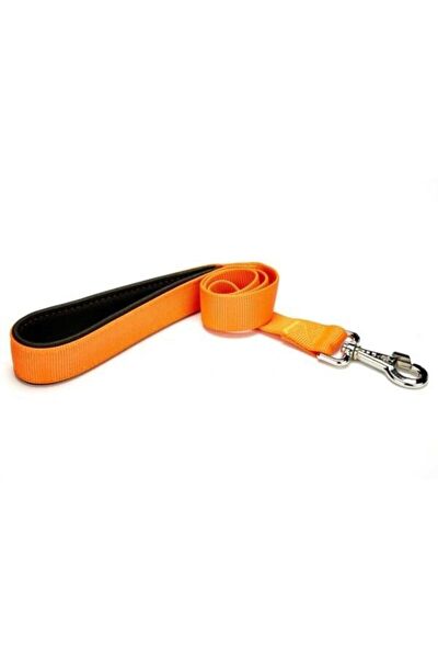 Doggie Köpek Tasmaları