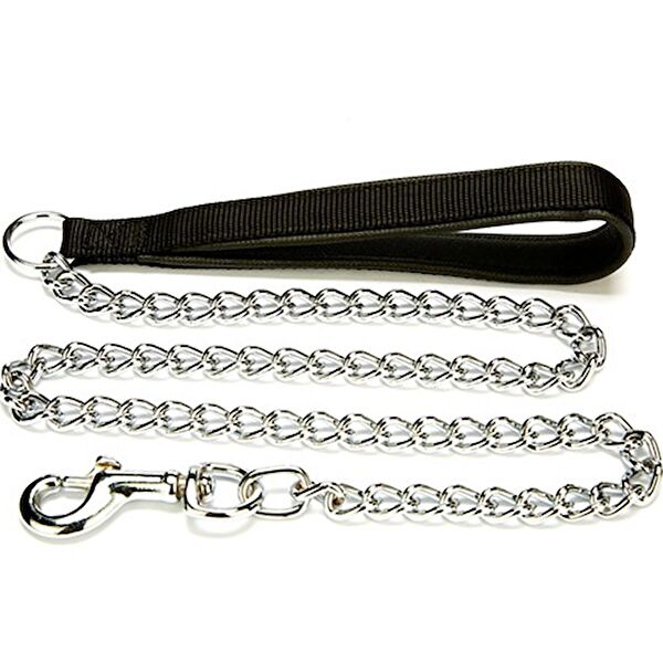 Doggie Köpek Tasmaları