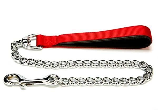 Doggie Köpek Tasmaları