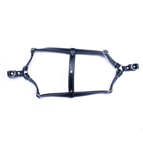 Doggie Köpek Tasmaları