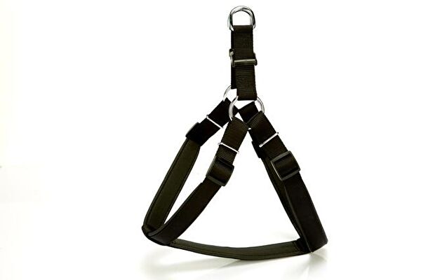 Doggie Köpek Tasmaları