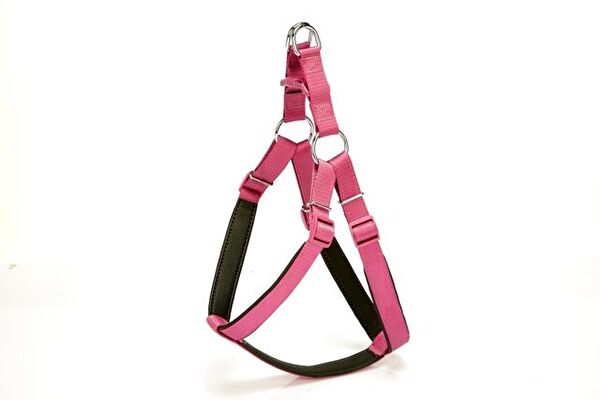 Doggie Köpek Tasmaları