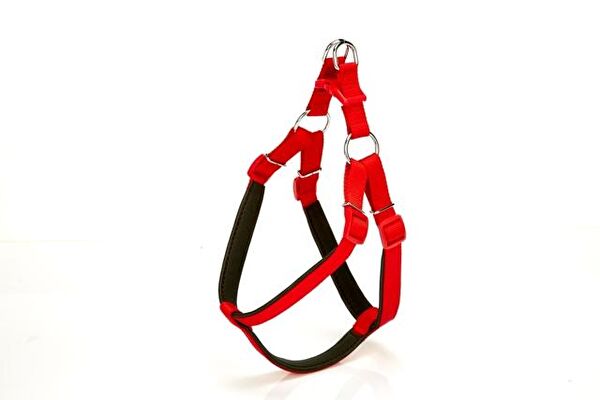 Doggie Köpek Tasmaları