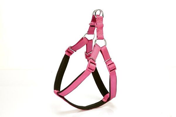 Doggie Köpek Tasmaları