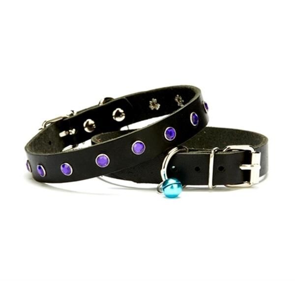 Doggie Kedi Tasmaları ve İsimlikler