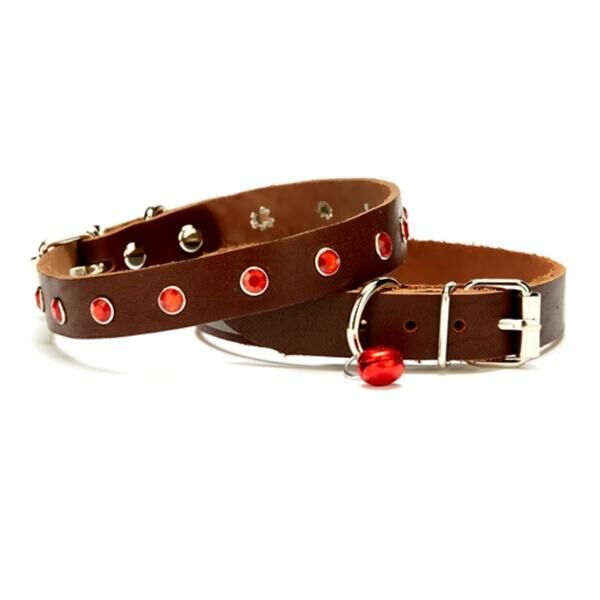 Doggie Kedi Tasmaları ve İsimlikler