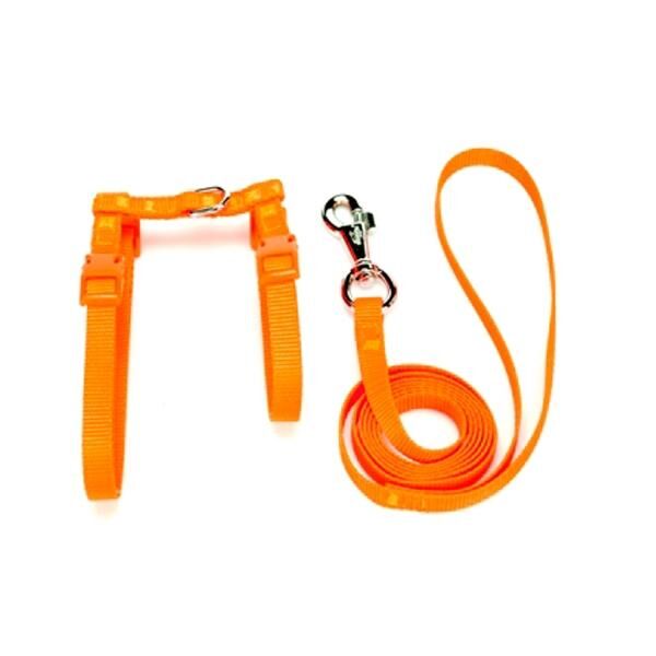 Doggie Kedi Tasmaları ve İsimlikler