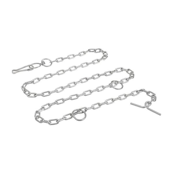 Doggie Köpek Tasmaları